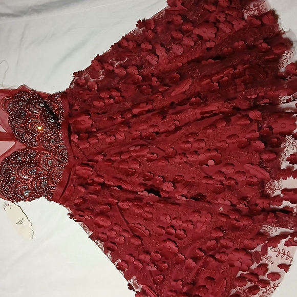 Neslay Collection Dresses & Skirts - Elegant Asymmetrical Red Dress